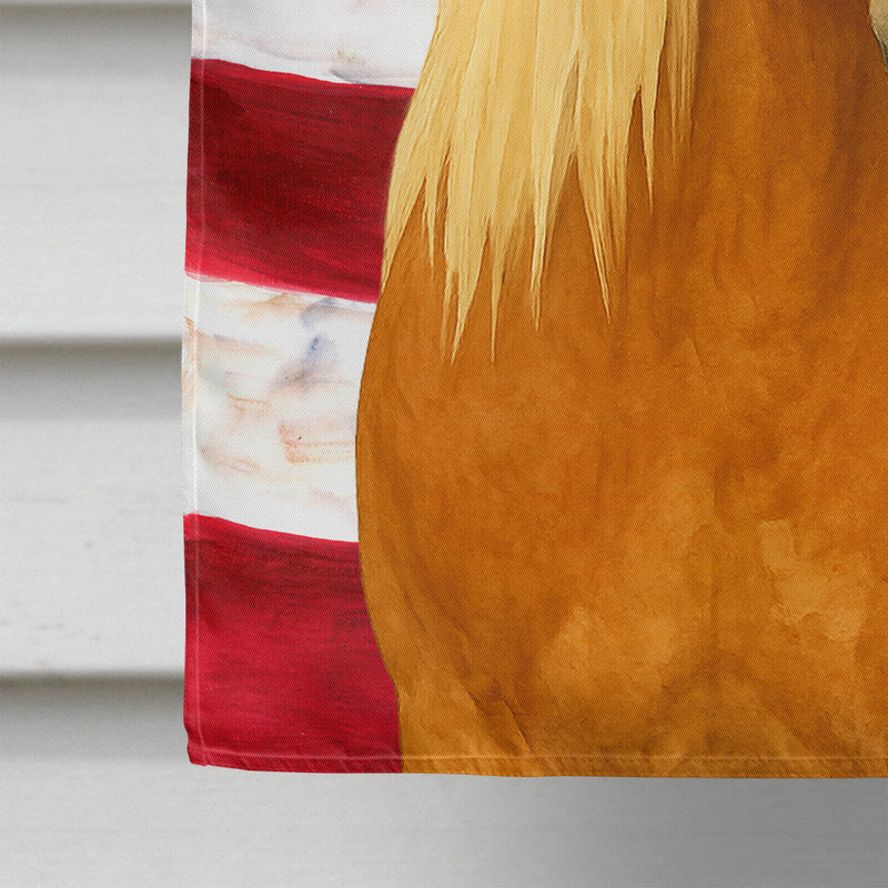 Chestnut Haflinger Horse with Flaxen Mane American House Flag