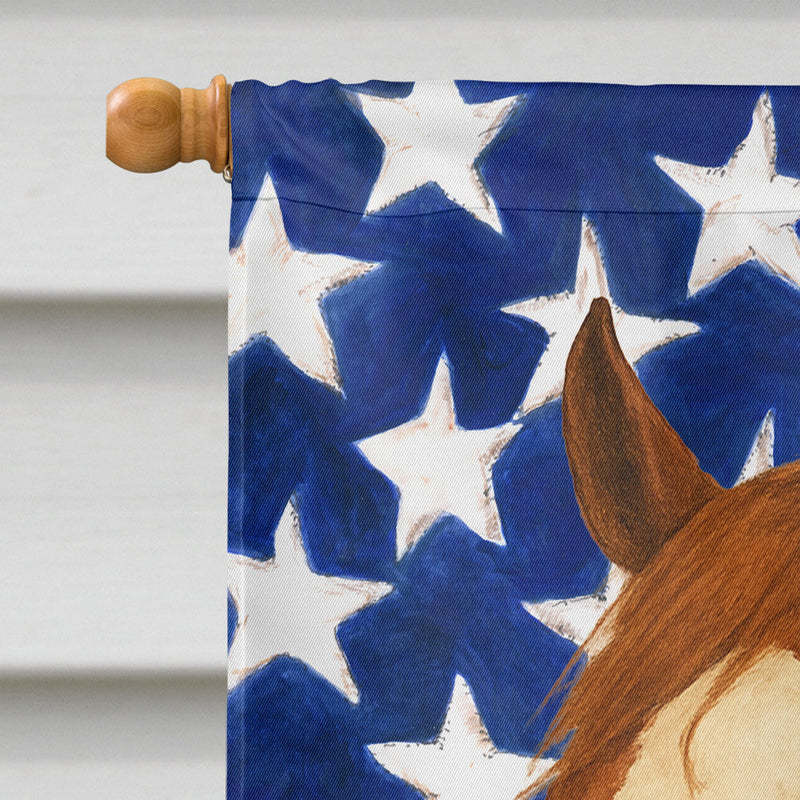 Chestnut Overo Paint Horse American House Flag