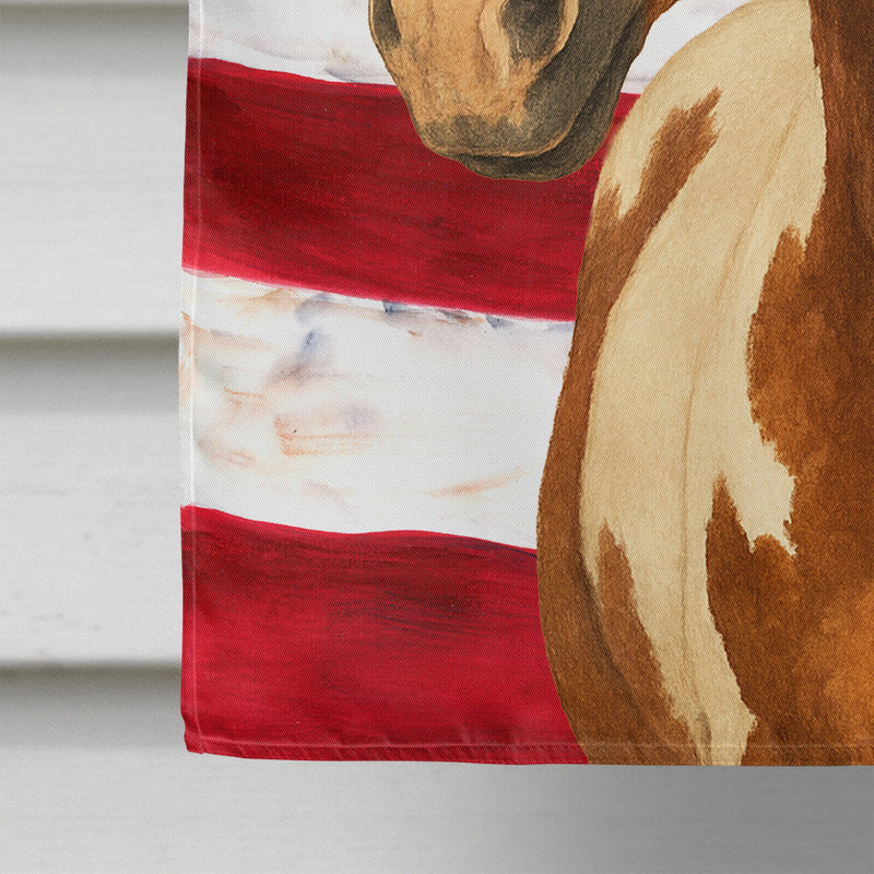 Chestnut Overo Paint Horse American House Flag