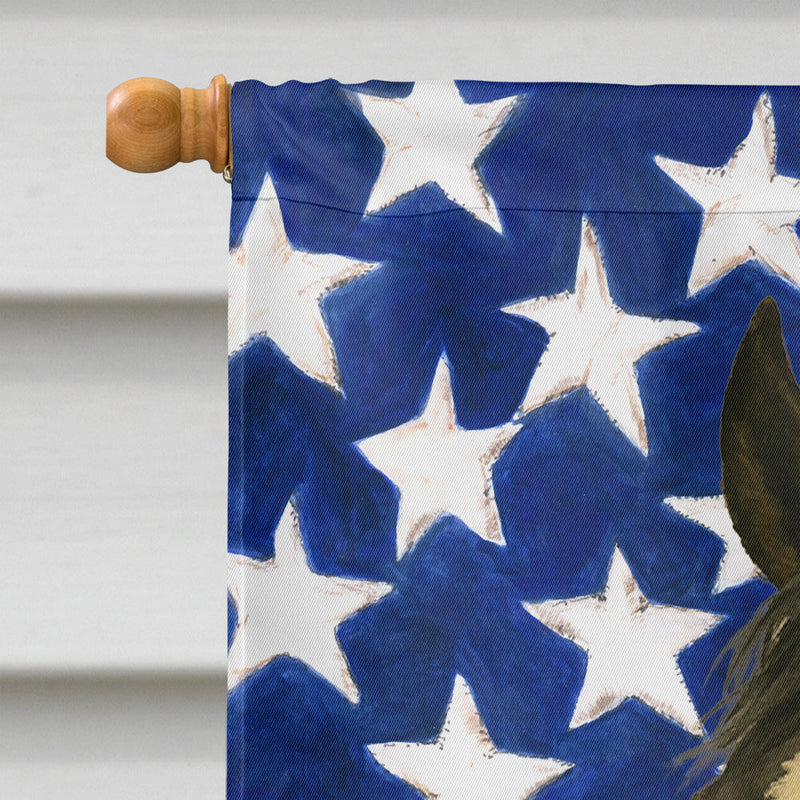 Black Tobiano Paint Horse American House Flag