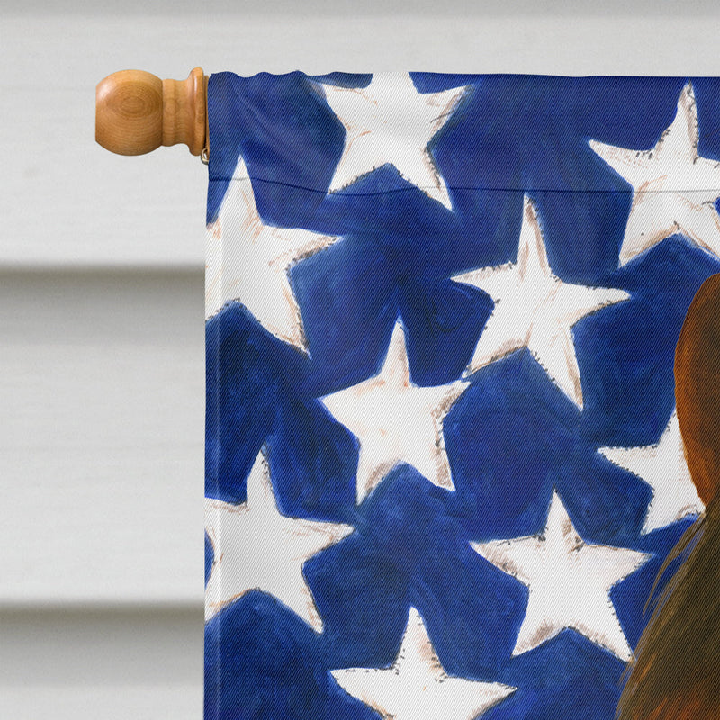 Chestnut Paso Fino Horse American House Flag