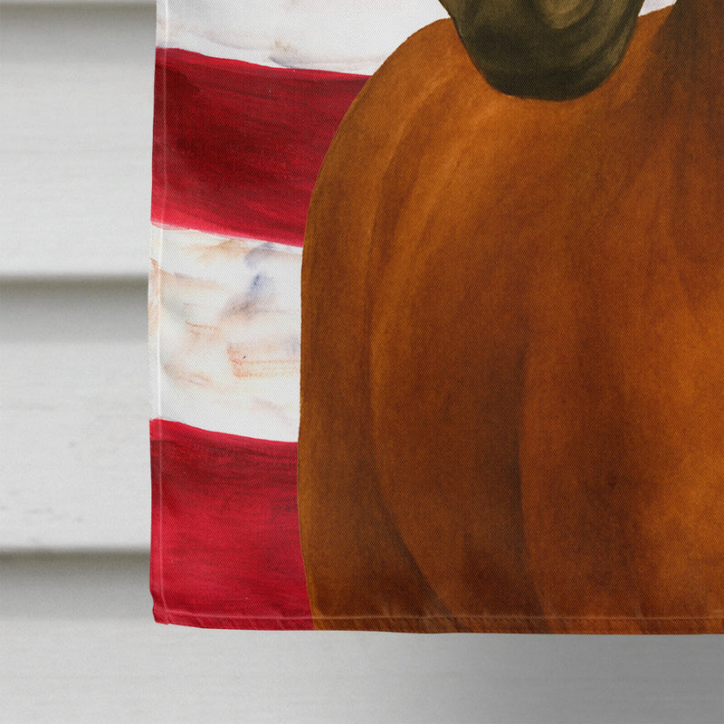 Chestnut Paso Fino Horse American House Flag