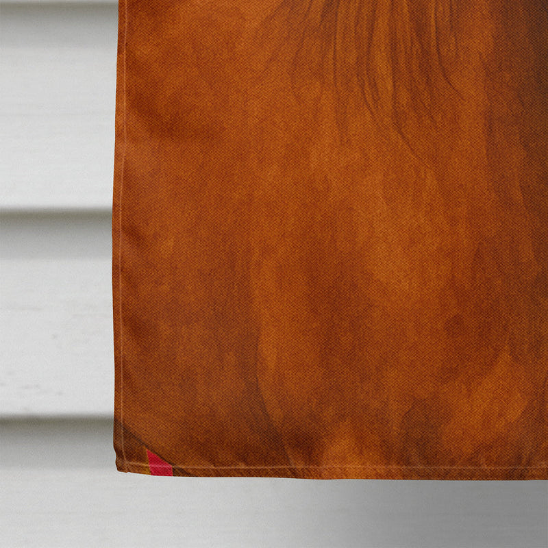 Chestnut Tennessee Walking Horse American House Flag