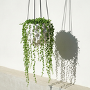 The Creature Orb Hanging Planter Pot With Drainage