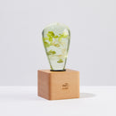 EP Light - White Hydrangea by EP Designlab LLC