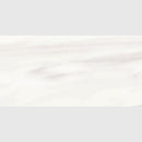 Carrara Venato Matte Porcelain Tile