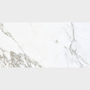 Carrara Arabescato Matte Porcelain Tile