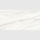 Carrara Venato Matte Porcelain Tile