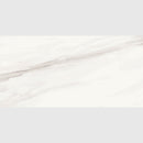 Carrara Venato Semi Polished Marble Look Porcelain Tile