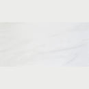 Carrara Venato Semi Gloss Porcelain Tile