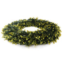 Golden Boxwood Wreath - Extra Large