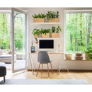 5-in-1 WiFi Professional Weather Station with Weather Underground