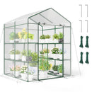 Walk-in Greenhouse with 3 Tiers 8 Shelves PVC Cover Roll-up Zippered Door by LJGDeals