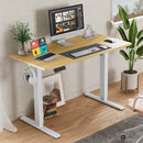 Walker Edison | Electric Height Adjustable Standing Desk