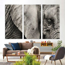 Wall Art Animal Canvas Print Close Taken Elephant with Big by MyGreatCanvas | Canvas Wall Art Prints | Photo Prints & Wall Decor