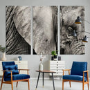 Wall Art Animal Canvas Print Close Taken Elephant with Big by MyGreatCanvas | Canvas Wall Art Prints | Photo Prints & Wall Decor