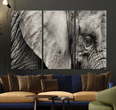 Wall Art Animal Canvas Print Close Taken Elephant with Big by MyGreatCanvas | Canvas Wall Art Prints | Photo Prints & Wall Decor