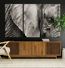 Wall Art Animal Canvas Print Close Taken Elephant with Big by MyGreatCanvas | Canvas Wall Art Prints | Photo Prints & Wall Decor