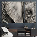 Wall Art Animal Canvas Print Close Taken Elephant with Big by MyGreatCanvas | Canvas Wall Art Prints | Photo Prints & Wall Decor