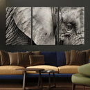 Wall Art Animal Canvas Print Close Taken Elephant with Big by MyGreatCanvas | Canvas Wall Art Prints | Photo Prints & Wall Decor