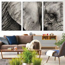 Wall Art Animal Canvas Print Close Taken Elephant with Big by MyGreatCanvas | Canvas Wall Art Prints | Photo Prints & Wall Decor