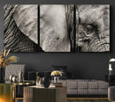 Wall Art Animal Canvas Print Close Taken Elephant with Big by MyGreatCanvas | Canvas Wall Art Prints | Photo Prints & Wall Decor