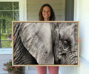 Wall Art Animal Canvas Print Close Taken Elephant with Big by MyGreatCanvas | Canvas Wall Art Prints | Photo Prints & Wall Decor
