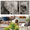 Wall Art Animal Canvas Print Close Taken Elephant with Big by MyGreatCanvas | Canvas Wall Art Prints | Photo Prints & Wall Decor