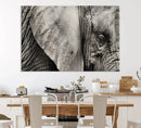 Wall Art Animal Canvas Print Close Taken Elephant with Big by MyGreatCanvas | Canvas Wall Art Prints | Photo Prints & Wall Decor