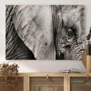 Wall Art Animal Canvas Print Close Taken Elephant with Big by MyGreatCanvas | Canvas Wall Art Prints | Photo Prints & Wall Decor