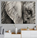 Wall Art Animal Canvas Print Close Taken Elephant with Big by MyGreatCanvas | Canvas Wall Art Prints | Photo Prints & Wall Decor