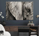 Wall Art Animal Canvas Print Close Taken Elephant with Big by MyGreatCanvas | Canvas Wall Art Prints | Photo Prints & Wall Decor