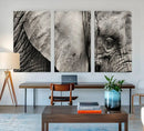Wall Art Animal Canvas Print Close Taken Elephant with Big by MyGreatCanvas | Canvas Wall Art Prints | Photo Prints & Wall Decor