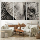 Wall Art Animal Canvas Print Close Taken Elephant with Big by MyGreatCanvas | Canvas Wall Art Prints | Photo Prints & Wall Decor