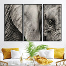 Wall Art Animal Canvas Print Close Taken Elephant with Big by MyGreatCanvas | Canvas Wall Art Prints | Photo Prints & Wall Decor