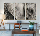 Wall Art Animal Canvas Print Close Taken Elephant with Big by MyGreatCanvas | Canvas Wall Art Prints | Photo Prints & Wall Decor