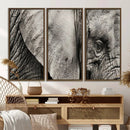 Wall Art Animal Canvas Print Close Taken Elephant with Big by MyGreatCanvas | Canvas Wall Art Prints | Photo Prints & Wall Decor