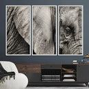 Wall Art Animal Canvas Print Close Taken Elephant with Big by MyGreatCanvas | Canvas Wall Art Prints | Photo Prints & Wall Decor