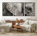 Wall Art Animal Canvas Print Close Taken Elephant with Big by MyGreatCanvas | Canvas Wall Art Prints | Photo Prints & Wall Decor