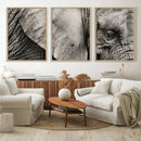 Wall Art Animal Canvas Print Close Taken Elephant with Big by MyGreatCanvas | Canvas Wall Art Prints | Photo Prints & Wall Decor