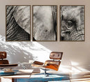 Wall Art Animal Canvas Print Close Taken Elephant with Big by MyGreatCanvas | Canvas Wall Art Prints | Photo Prints & Wall Decor