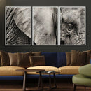 Wall Art Animal Canvas Print Close Taken Elephant with Big by MyGreatCanvas | Canvas Wall Art Prints | Photo Prints & Wall Decor