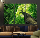Forest Wall Art Canvas Print - Green Tree Wall Art Print by MyGreatCanvas | Canvas Wall Art Prints | Photo Prints & Wall Decor