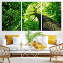 Forest Wall Art Canvas Print - Green Tree Wall Art Print by MyGreatCanvas | Canvas Wall Art Prints | Photo Prints & Wall Decor