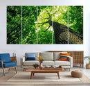 Forest Wall Art Canvas Print - Green Tree Wall Art Print by MyGreatCanvas | Canvas Wall Art Prints | Photo Prints & Wall Decor