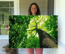 Forest Wall Art Canvas Print - Green Tree Wall Art Print by MyGreatCanvas | Canvas Wall Art Prints | Photo Prints & Wall Decor