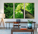 Forest Wall Art Canvas Print - Green Tree Wall Art Print by MyGreatCanvas | Canvas Wall Art Prints | Photo Prints & Wall Decor
