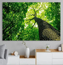 Forest Wall Art Canvas Print - Green Tree Wall Art Print by MyGreatCanvas | Canvas Wall Art Prints | Photo Prints & Wall Decor