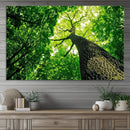 Forest Wall Art Canvas Print - Green Tree Wall Art Print by MyGreatCanvas | Canvas Wall Art Prints | Photo Prints & Wall Decor