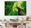 Forest Wall Art Canvas Print - Green Tree Wall Art Print by MyGreatCanvas | Canvas Wall Art Prints | Photo Prints & Wall Decor